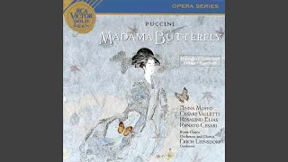 Madama Butterfly: Amore o grillo