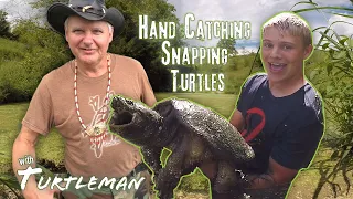 Catching Snapping Turtles with Turtleman yes by hand.