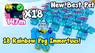 Got Full Team Of Rainbow Pog Immortuus! - Pet Simulator X Roblox