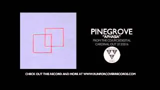 Pinegrove - "Aphasia" (Official Audio)