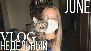 Пропало обоняние | weekly vlog
