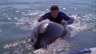 Free Willy 3 - (1997) trailer