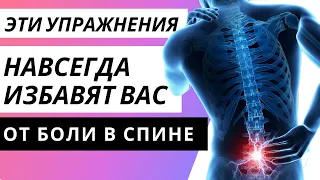 Эти упражнения навсегда избавят вас от боли в спине!