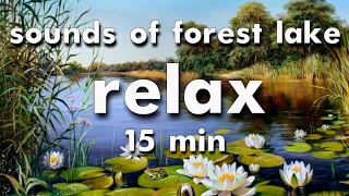 Instant relaxation | Sounds of forest lake | Antistress | Sounds of nature | Аmbience | REM sleep