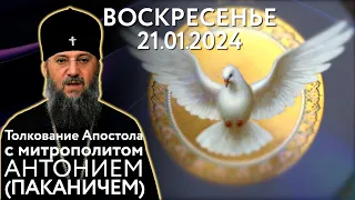 Воскресенье, 21 января 2024 года. Толкование Апостола с митр. Антонием (Паканичем).