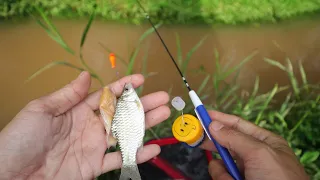 Minnow Fishing Makes Simple Microfishing Fishing Lines And Bait