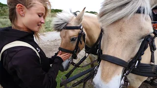 Juist - die schönste Nordsee Insel