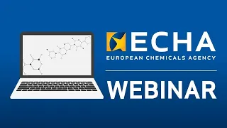 Towards faster regulatory action: ECHA's approach to assessing chemicals in groups