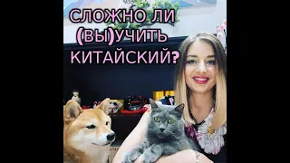 Трудно ли (вы)учить китайский язык? Личный опыт