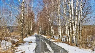 Диктант. Здравствуй, весна!