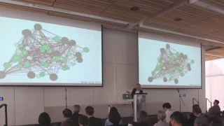 Wood Wide Web: Dr. Suzanne Simard on the Secret Life of Tree and the Importance of Networks