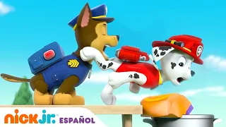 PAW Patrol | ¡La Patrulla canina contra las hormigas ladronas de frutas! | Nick Jr. en Español