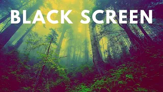 10 Hours of Healing Sleep Music with BLACK SCREEN for Sleep, Lucid Dreaming, Stress and Insomnia