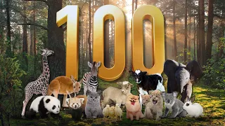 100 BABY ANIMALS FOR KIDS | AWW-INSPIRING WILDLIFE ADVENTURE FOR KIDS, TODDLER, AND PRESCHOOLER