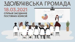 18.03.2021 Спільне засідання постійних комісій. Здолбунівська громада.