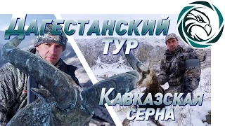 Горная охота в Северной Осетии: Дагестанский тур и Кавказская серна