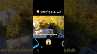 دب يهاجم شخص في الجبال 😱 #shorts