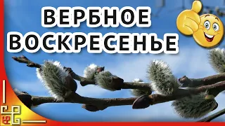 Вербное воскресенье. Красивое поздравление с вербным воскресеньем. Видео открытка