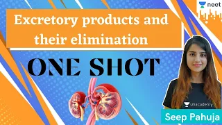NEET: One Shot | Excretory Products and Their Elimination | Biology | Unacademy NEET | Seep Pahuja