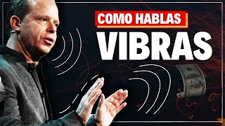 ASÍ... COMO HABLAS VIBRAS | JOE DISPENZA