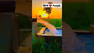 Asi Punjab de Jaye || Ammy Virk || Punjabi song || watsapp status video || Farmer life || #short#yt