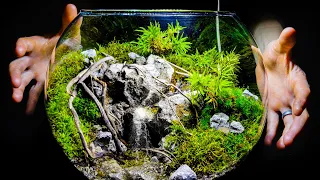 Mini Tiered Pooling Ponds Recirculating Moss Bog Bowl