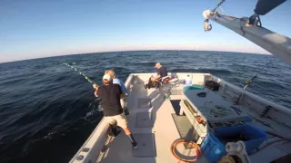 Giant Blue fin tuna Dawn trader charters Port Hood Nova Scotia  Canada