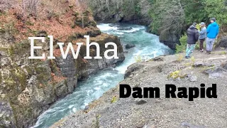 Lower Elwha River | Kayak Dam Rapid