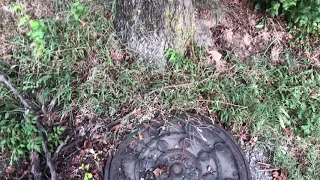 How to: Planting Trees Minimum Distance Required for Sanitary Sewer Manholes - Read Below