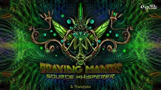 Praying-Mantis - Narayana