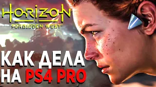 Первые 4 часа 44 минуты 43 секунды  В Horizon 2 Forbidden West (Запретный Запад) На PS4 PRO