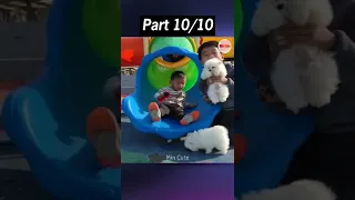 Tik Tok Chó Phốc Sóc Mini 😍 Funny and Cute Pomeranian  Part 10 #shorts