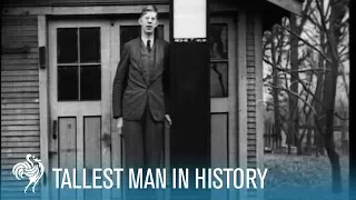 The World's Tallest Man: Robert Wadlow 8'11" aka the Alton Giant (1936) | British Pathé