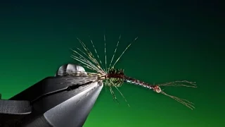 Tying the All Hackle Dry with Barry Ord Clarke