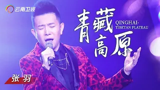 高音小王子张羽唱功不容小觑！现场和观众PK飙高音，一句《青藏高原》全场都沸腾了！【中国情歌汇】