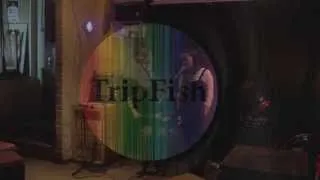 TripFish SummerBar (2013)