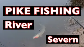PIKE FISHING RIVER SEVERN