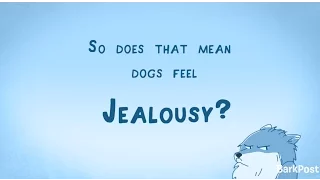 Do Dogs Get Jealous? | INSIDE A DOG'S BRAIN