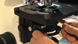 Koehler Illumination Microscope