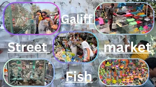 Recent Aquarium Fish Price Update | Galiff street Fish Market | Galiff Street new video 28th April