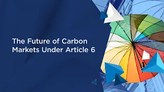 I4C 2023: The Future of Carbon Markets under Article 6