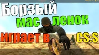 Борзый масленок играет в ксс