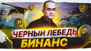 Спасайте деньги. Черный Лебедь Бинанс