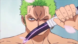 Zoro vs Wano Samurais {HD}