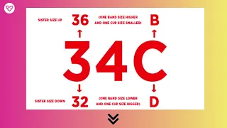 What is the difference between 34C and 34B bra sizes