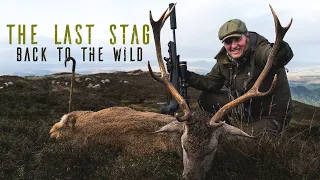 THE LAST STAG | BACK TO THE WILD
