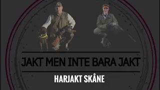 Harjakt Skåne!