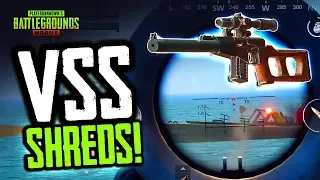 VSS SHREDS! Slow & Silent. PUBG Mobile