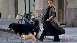 Jennifer Lawrence Filming Commercial with Dogs