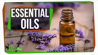 Do Essential Oils Really Work? And Why?